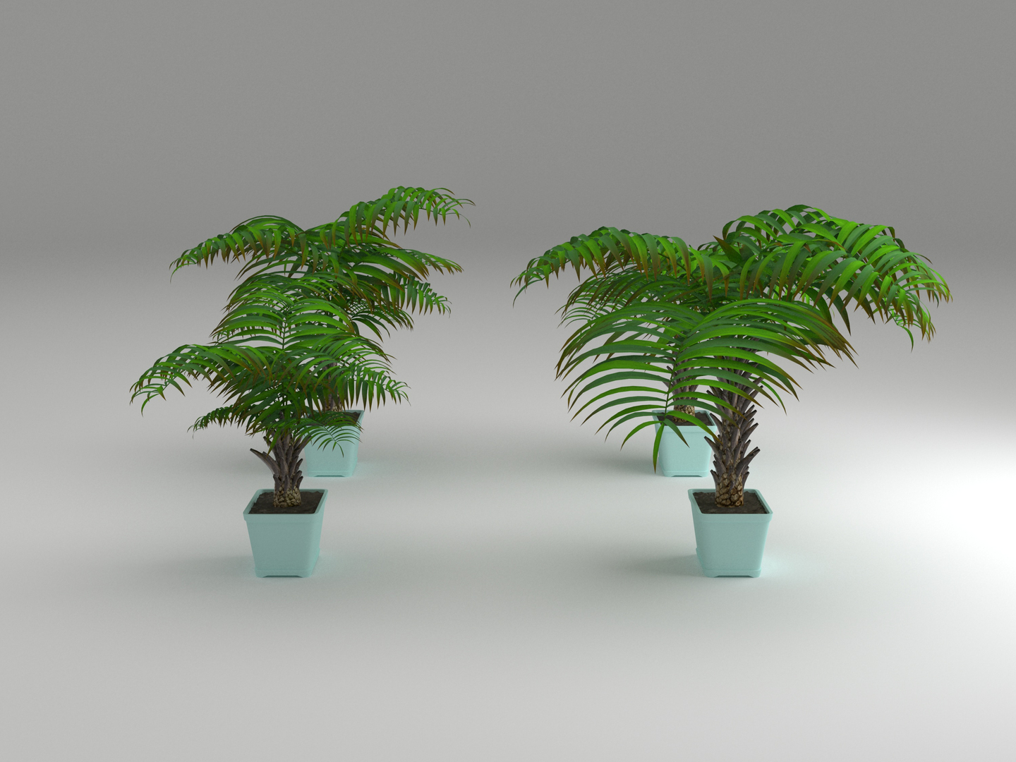 decorative palms 3D model https://p.turbosquid.com/ts-thumb/DG/cbbtwQ/waEOM6zq/palms_turn/jpg/1589393493/1920x1080/turn_fit_q99/ae2d87bf664f78eca46ddca6f634ca72f69b3873/palms_turn-1.jpg