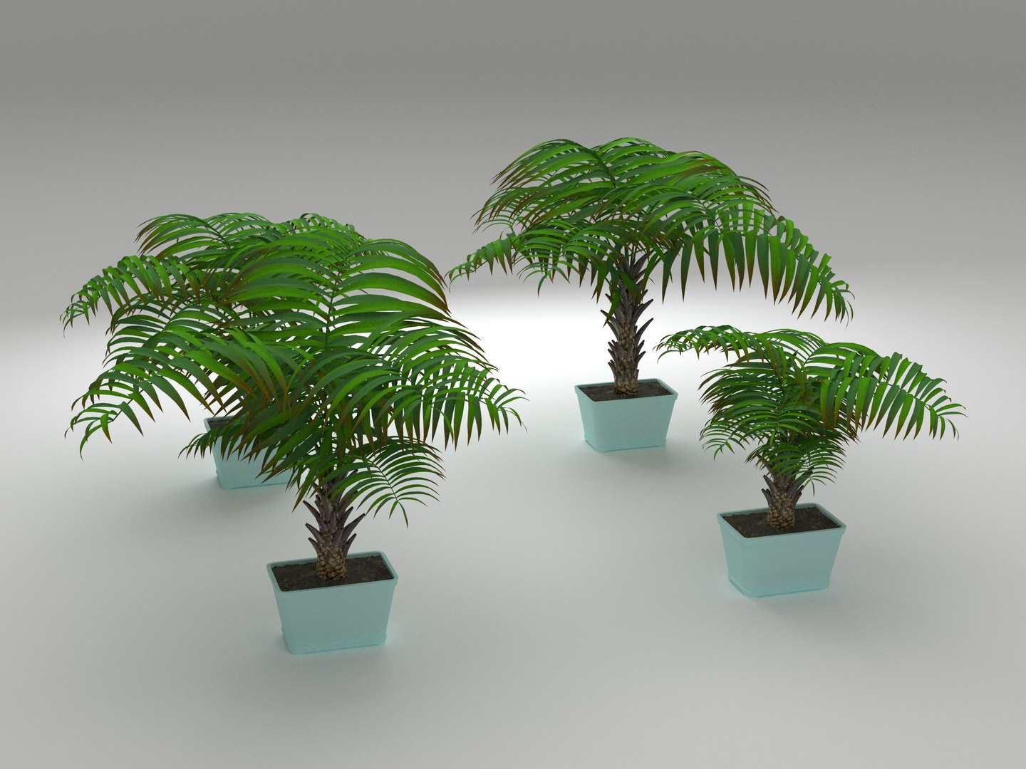 decorative palms 3D model https://p.turbosquid.com/ts-thumb/DG/cbbtwQ/ySCel3yf/palms_rend_01/jpg/1589393437/1920x1080/fit_q87/0b2ac5ab91906045083568f945bb7d55fe7356d9/palms_rend_01.jpg