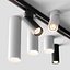 AQForm Rotto  Pet Collection