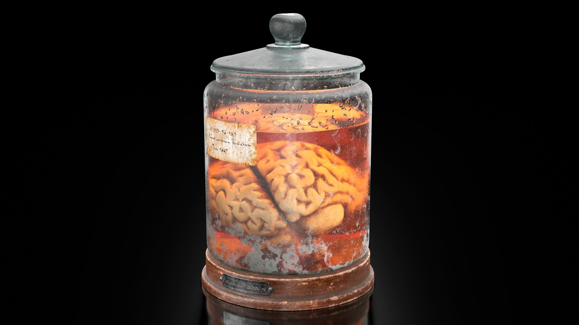 Vintage Organ Jar Human Brain PBR 3D Model - TurboSquid 2211562