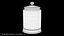 Vintage Organ Jar Human Brain PBR