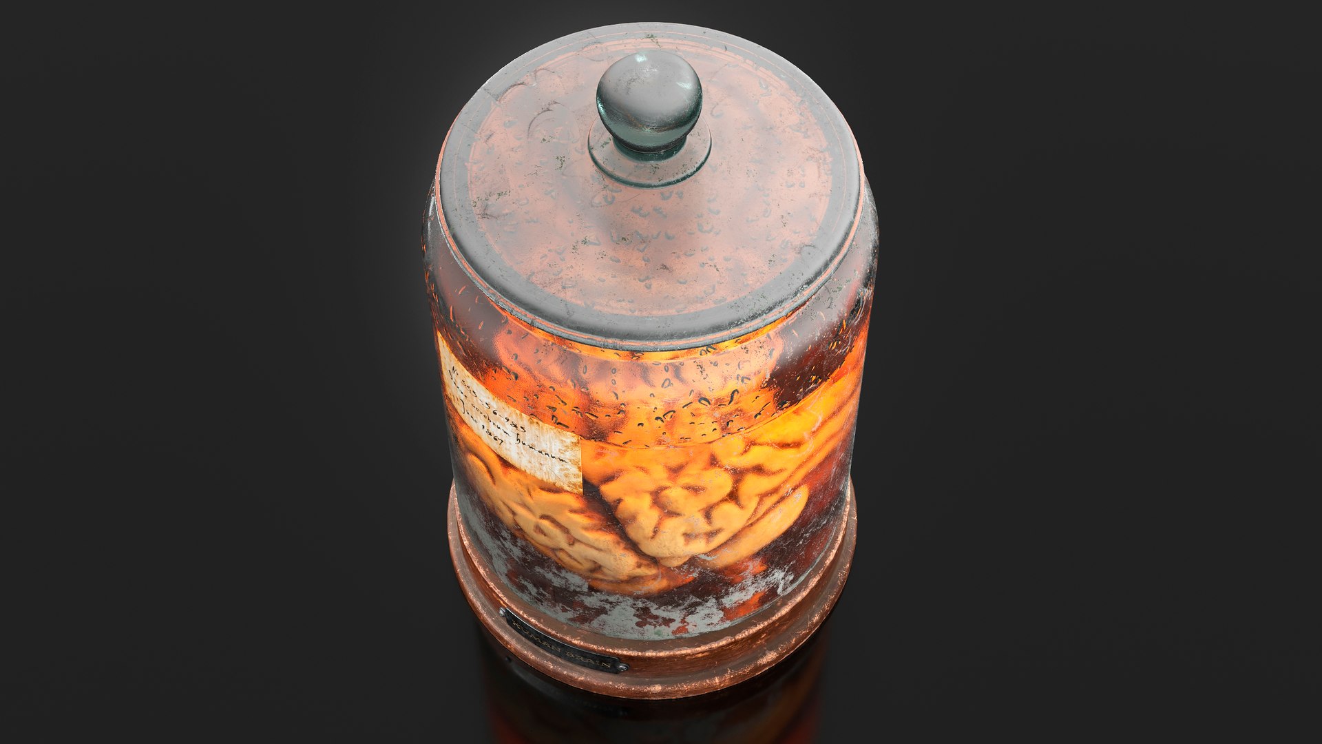 Vintage Organ Jar Human Brain PBR 3D model https://p.turbosquid.com/ts-thumb/DG/drjUwM/eY/6ps/jpg/1711977358/1920x1080/fit_q87/db7dcec9e0c4659be89e71f4474a0a350c7635e6/6ps.jpg