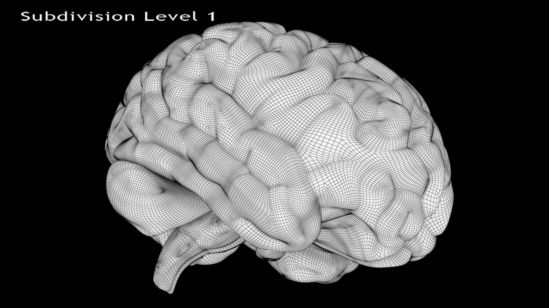Vintage Organ Jar Human Brain PBR 3D model https://p.turbosquid.com/ts-thumb/DG/drjUwM/f8/14/jpg/1711977365/1920x1080/fit_q87/287eb813738eca39b3f272450c6ff730eff0500b/14.jpg