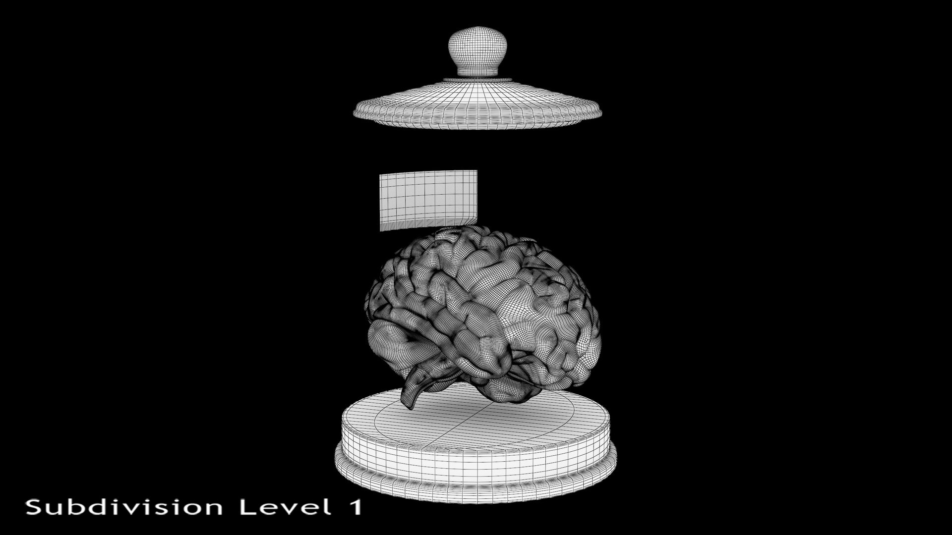 Vintage Organ Jar Human Brain PBR 3D model https://p.turbosquid.com/ts-thumb/DG/drjUwM/fh/12/jpg/1711977364/1920x1080/fit_q87/ac920dc180efa60ca3272051f82394ace0390437/12.jpg