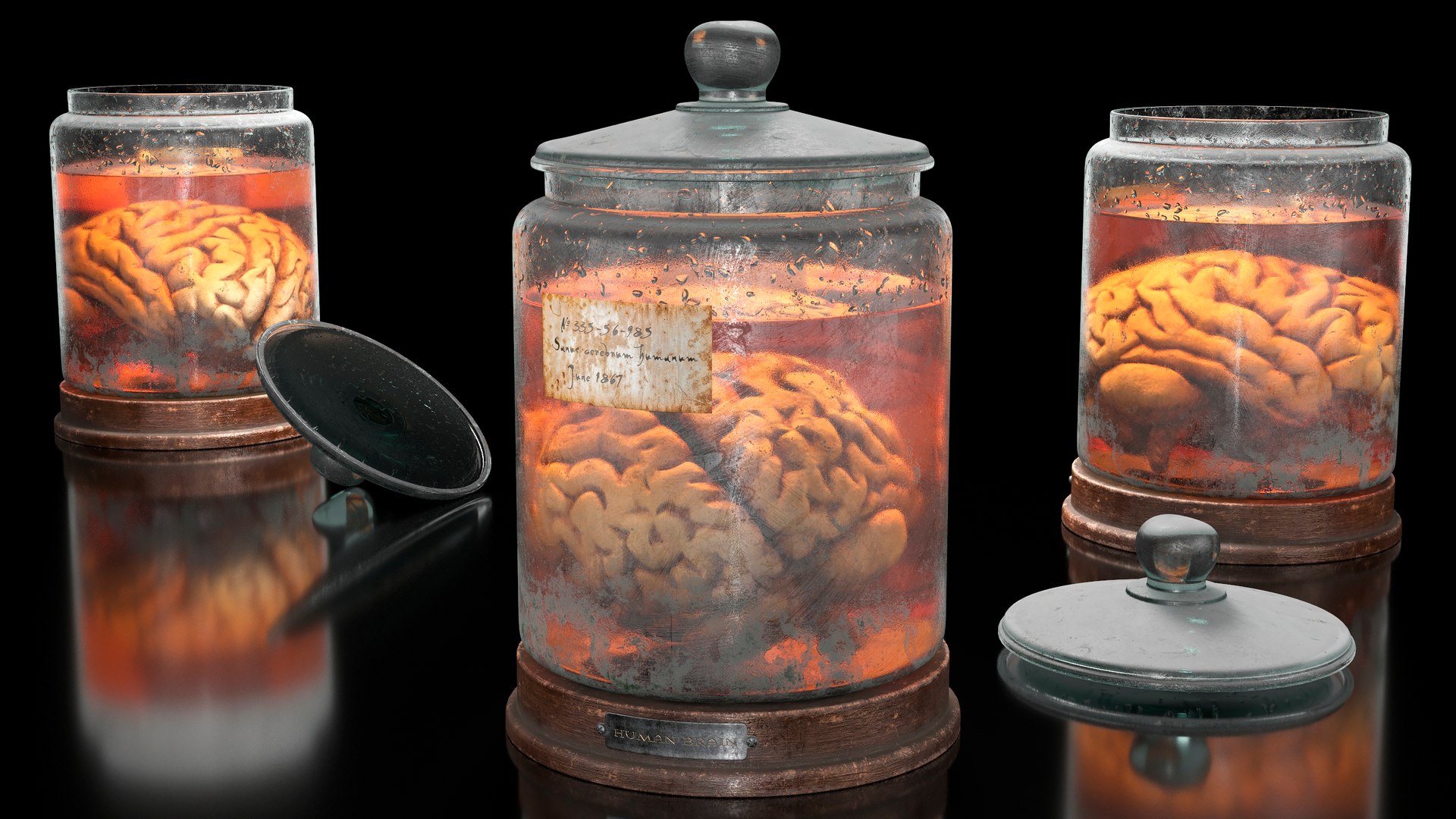 Vintage Organ Jar Human Brain PBR 3D model https://p.turbosquid.com/ts-thumb/DG/drjUwM/q3/5ps/jpg/1711977357/1920x1080/fit_q87/0719d7c7b3bc4716235de50a3e732d081619a509/5ps.jpg