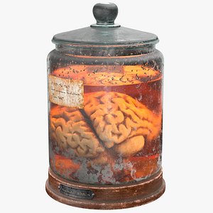 Vintage Organ Jar Human Brain PBR