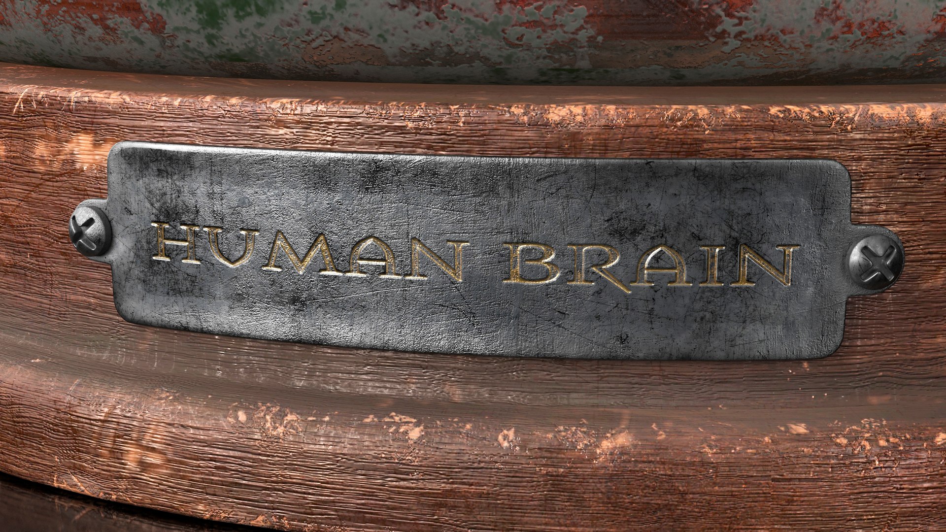 Vintage Organ Jar Human Brain PBR 3D model https://p.turbosquid.com/ts-thumb/DG/drjUwM/zR/8ps/jpg/1711977359/1920x1080/fit_q87/6f3d25ac1f26dda65e8d25ac82a5d7f76283f30f/8ps.jpg