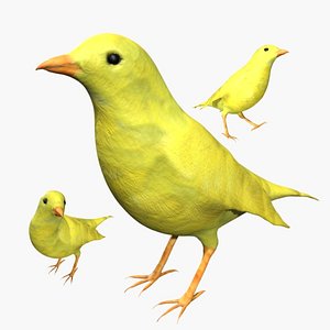 Rigged yellow canary bird 3D model