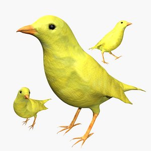 Rigged yellow canary bird