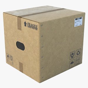 3D Carboard Box New 3 HD model