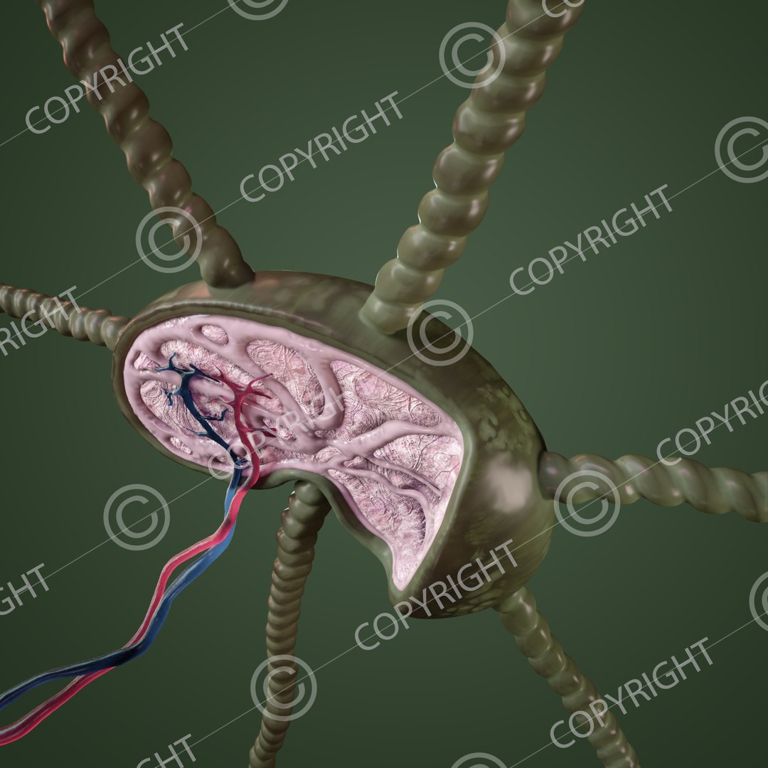 3D Science Model - TurboSquid 1372893