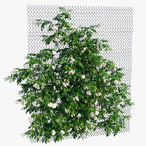 3D plant set 33