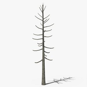 Lowpoly Dead Pine v2 3D model