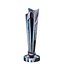 Trofeo ICC Cricket T20 World Cup 2022