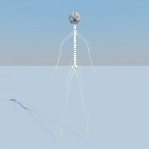 Nervous System Basic MAX 2011