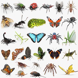 Insects Big Collection 3 Rigged for Maya