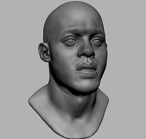 male head model