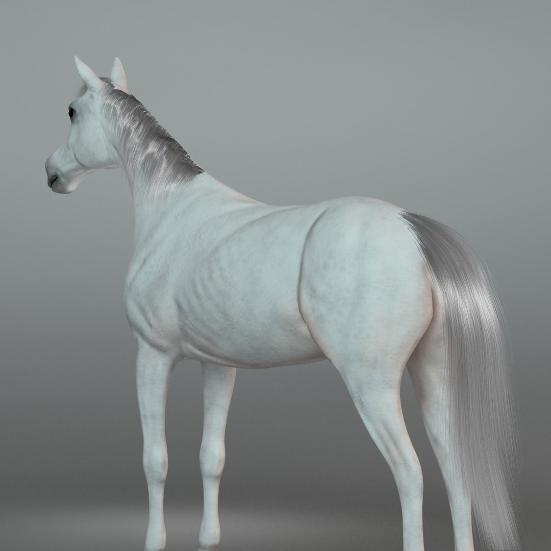 horse rider trailer 3D model https://p.turbosquid.com/ts-thumb/DH/ux9jYj/14vnXgJ5/4/jpg/1529335916/1920x1080/fit_q87/2440a507a26d62fb06e2a87b16e87b1289249e5f/4.jpg