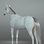 Cheval, remorque et jockey