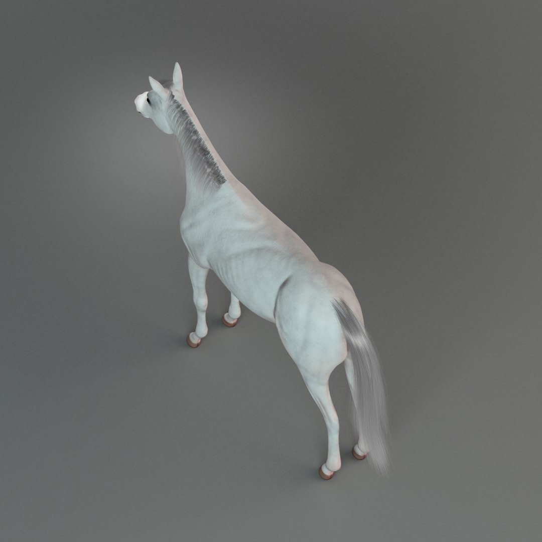 horse rider trailer 3D model https://p.turbosquid.com/ts-thumb/DH/ux9jYj/Am3LmP55/5/jpg/1529335916/1920x1080/fit_q87/c811dec0a4c80a5df75d0e8e0ec446618851ae08/5.jpg