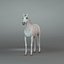 Cheval, remorque et jockey