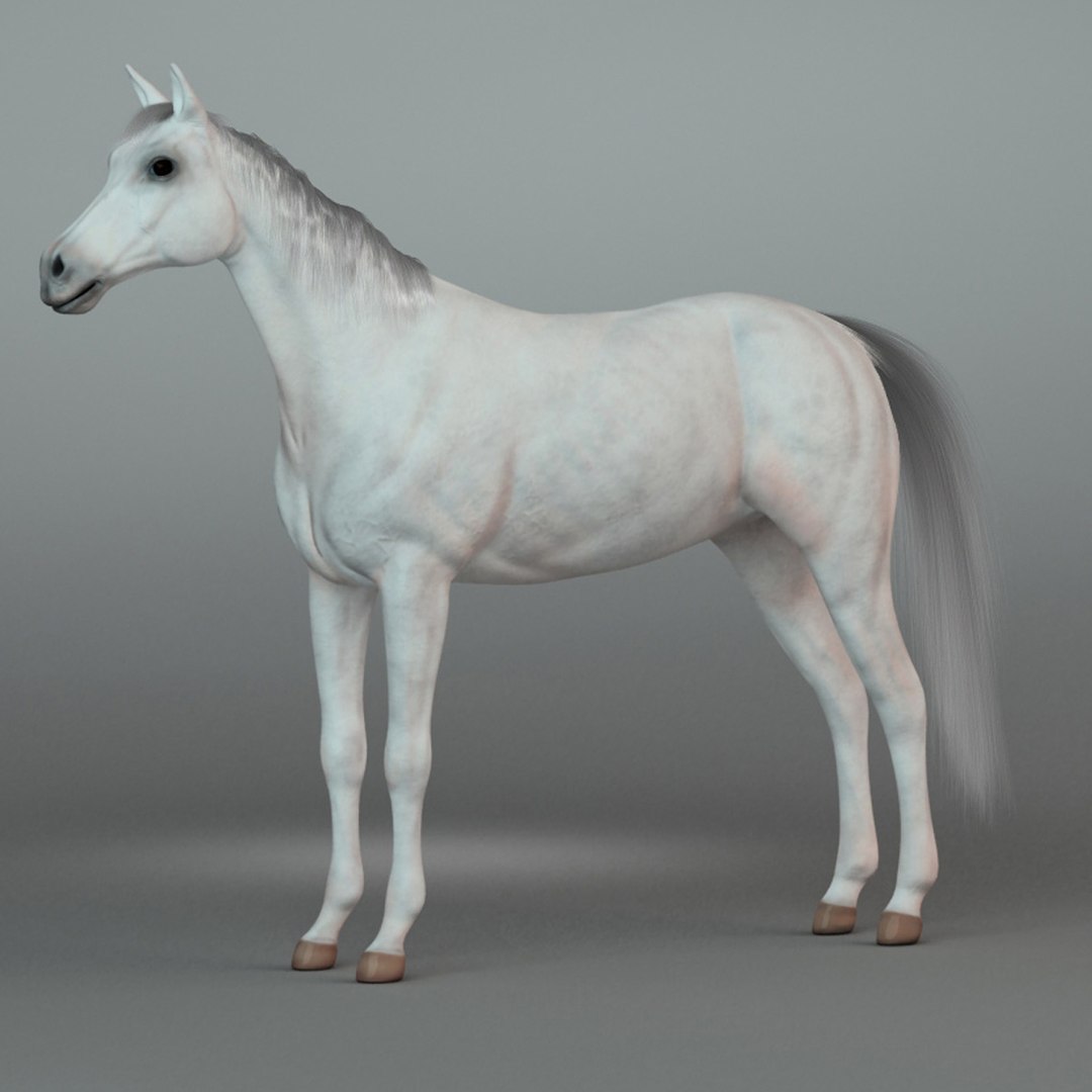 horse rider trailer 3D model https://p.turbosquid.com/ts-thumb/DH/ux9jYj/l816Zlt2/2/jpg/1529335916/1920x1080/fit_q87/1c1dd50e193a5f6bd3a84f1039cc002ea77b17e0/2.jpg
