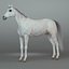 Cheval, remorque et jockey