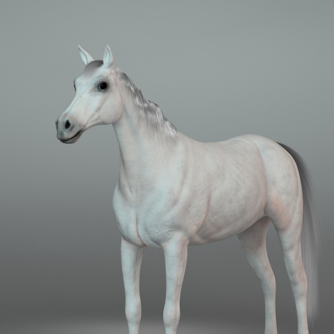 horse rider trailer 3D model https://p.turbosquid.com/ts-thumb/DH/ux9jYj/xv0IjGAt/3/jpg/1529335916/1920x1080/fit_q87/610532d1d6e81889f1536fa14a15e0d8cfe01208/3.jpg