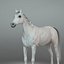 Cheval, remorque et jockey