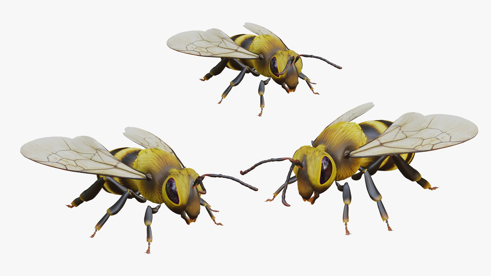 bee animal insect 3D https://p.turbosquid.com/ts-thumb/DH/ydWZQM/4D/d/jpg/1765270122/1920x1080/turn_fit_q99/062b0c33942a441858f00f7e7941ef931857f298/d-1.jpg