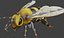 3danimatedbee