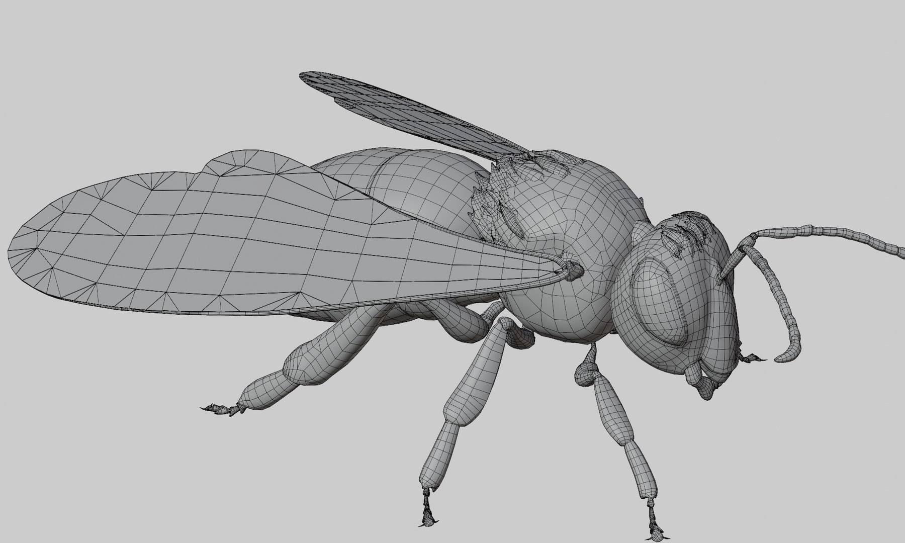 bee animal insect 3D https://p.turbosquid.com/ts-thumb/DH/ydWZQM/Dp/0006/png/1612088371/1920x1080/fit_q87/361d8d333e3b3de25afd10cac5feb5b0cd547e75/0006.jpg