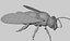 3danimatedbee