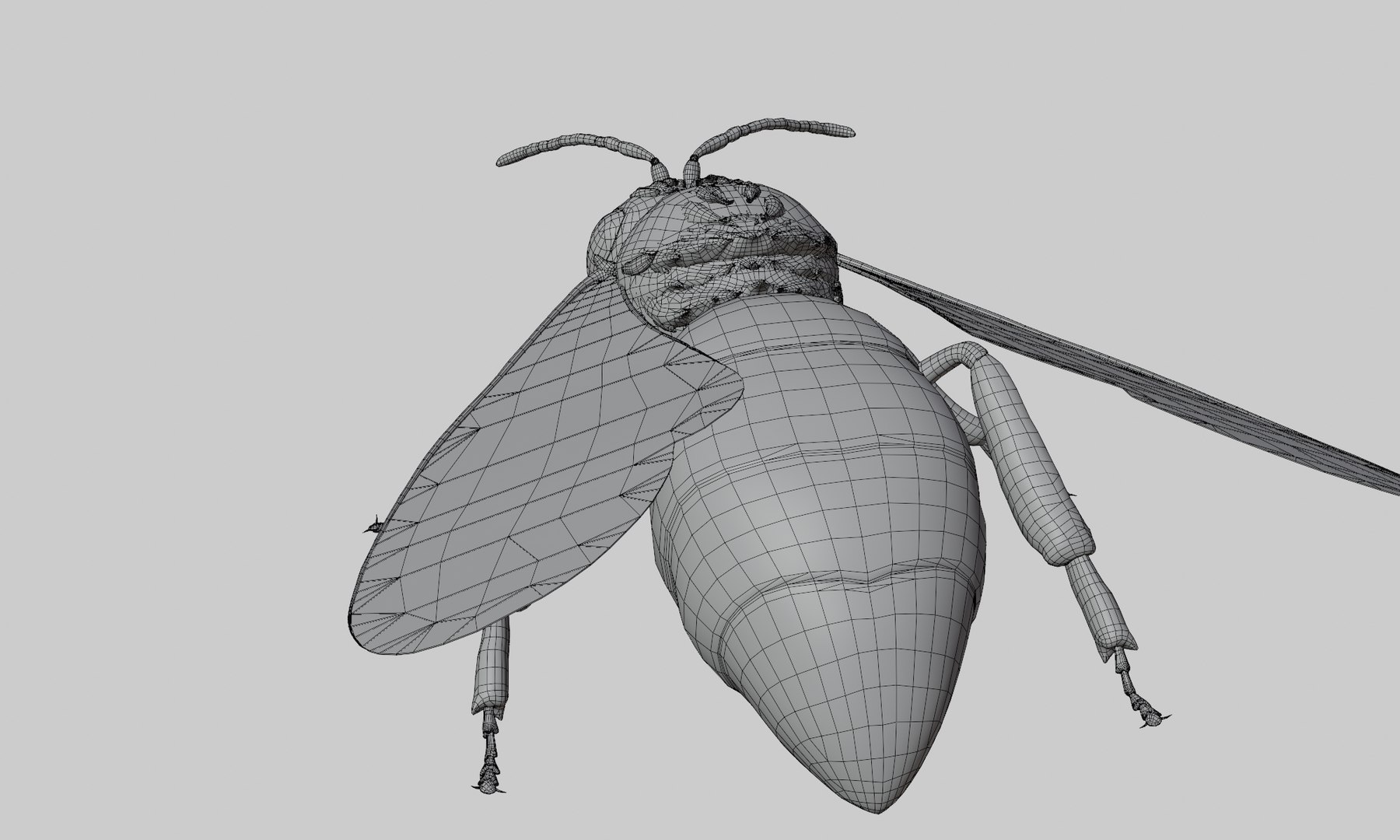 bee animal insect 3D https://p.turbosquid.com/ts-thumb/DH/ydWZQM/Ki/0017/png/1612088348/1920x1080/fit_q87/f6f1d27ff16c6fb14ac684b7acd6a61295233013/0017.jpg