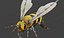 3danimatedbee