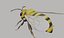3danimatedbee
