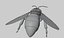 3danimatedbee