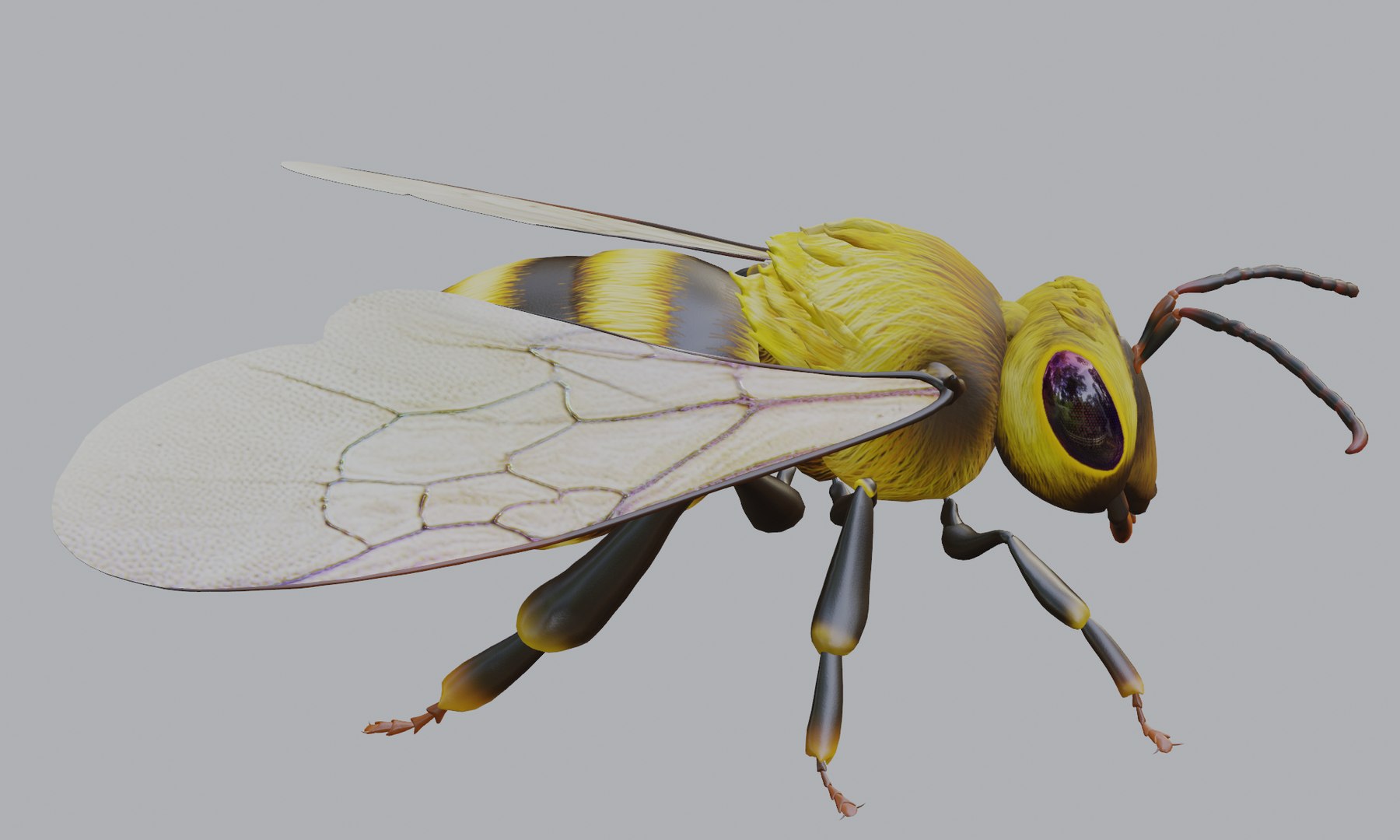 bee animal insect 3D https://p.turbosquid.com/ts-thumb/DH/ydWZQM/sp/0008/png/1612088058/1920x1080/fit_q87/163dccc06c0bb0c410b8a8a8108728293b41b941/0008.jpg