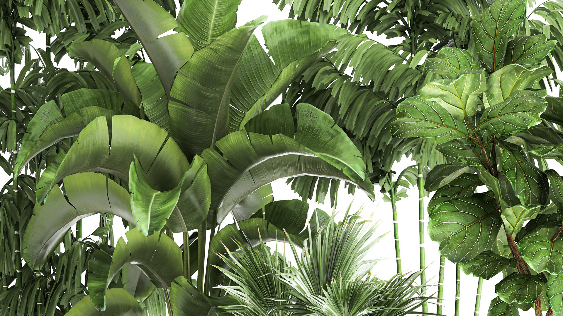 3D model Plants in a metal flowerpot for the interior 1084 https://p.turbosquid.com/ts-thumb/DI/0wVvgG/Fz/1plants1012202104/jpg/1639223501/1920x1080/fit_q87/2cb2a25fa77d01393faa470b6c408296a66cb26a/1plants1012202104.jpg