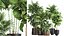 Plants in a metal flowerpot for the interior 1084