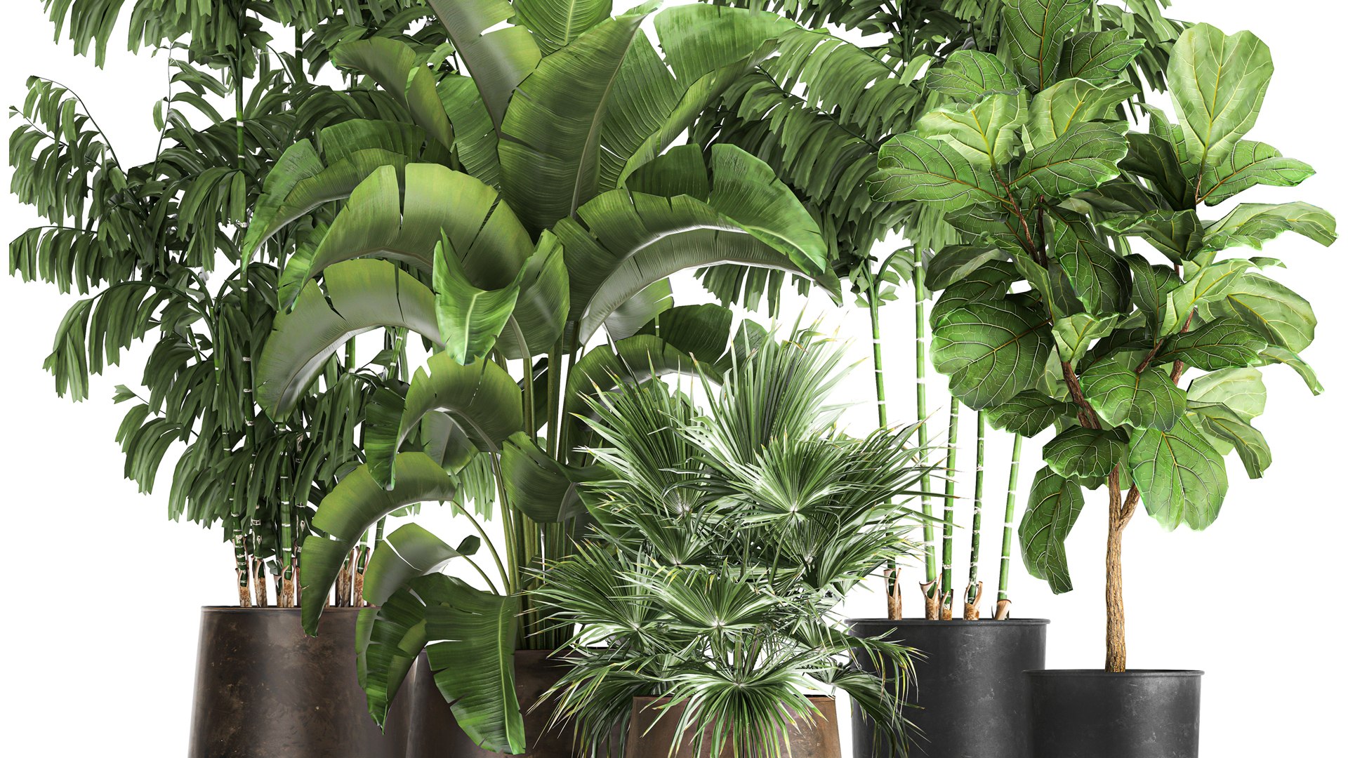 3D model Plants in a metal flowerpot for the interior 1084 https://p.turbosquid.com/ts-thumb/DI/0wVvgG/PD/1plants1012202103/jpg/1639223502/1920x1080/fit_q87/4d71085a153b612e390061959b4821bb82c62989/1plants1012202103.jpg
