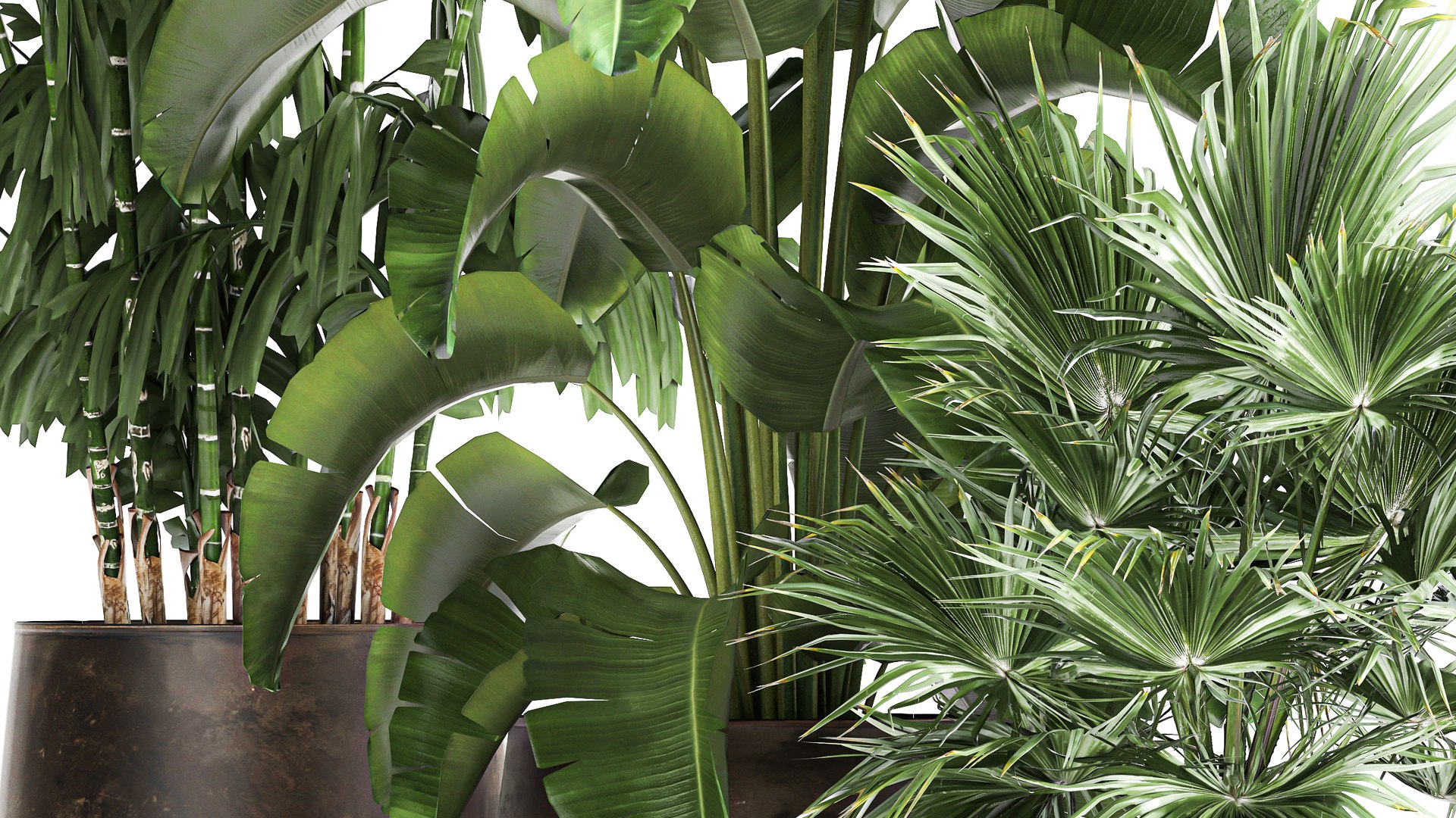 3D model Plants in a metal flowerpot for the interior 1084 https://p.turbosquid.com/ts-thumb/DI/0wVvgG/XW/1plants1012202106/jpg/1639223505/1920x1080/fit_q87/cb81700768a848157f61941fea728a0d72769789/1plants1012202106.jpg