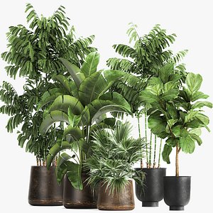 Plants in a metal flowerpot for the interior 1084