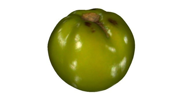 3D green tomato model