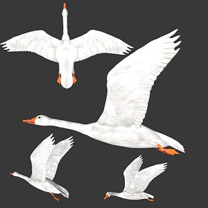 Rigged low poly White Goose