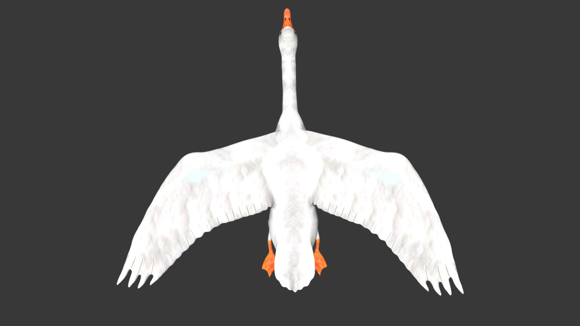 3D Rigged Low Poly White Goose - TurboSquid 1762639