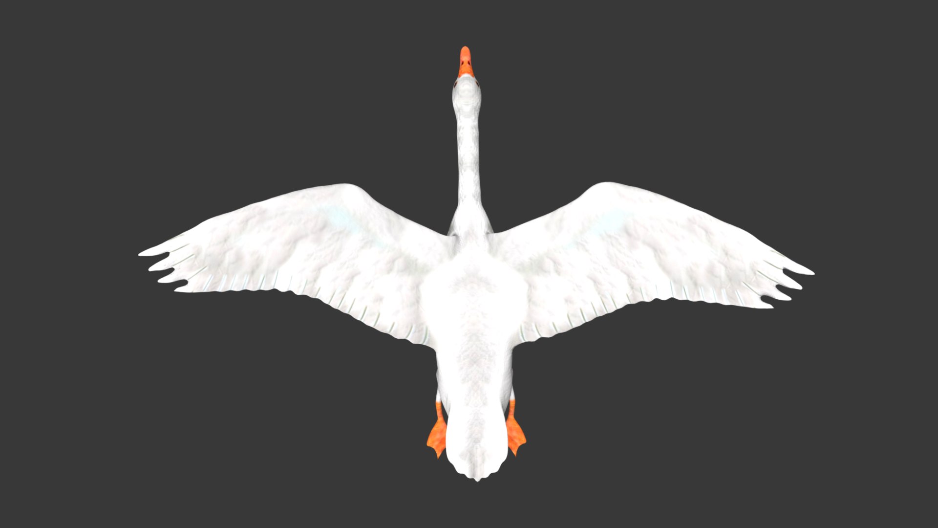 3D Rigged Low Poly White Goose - TurboSquid 1762639