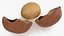 Opened Nuts Collection 3