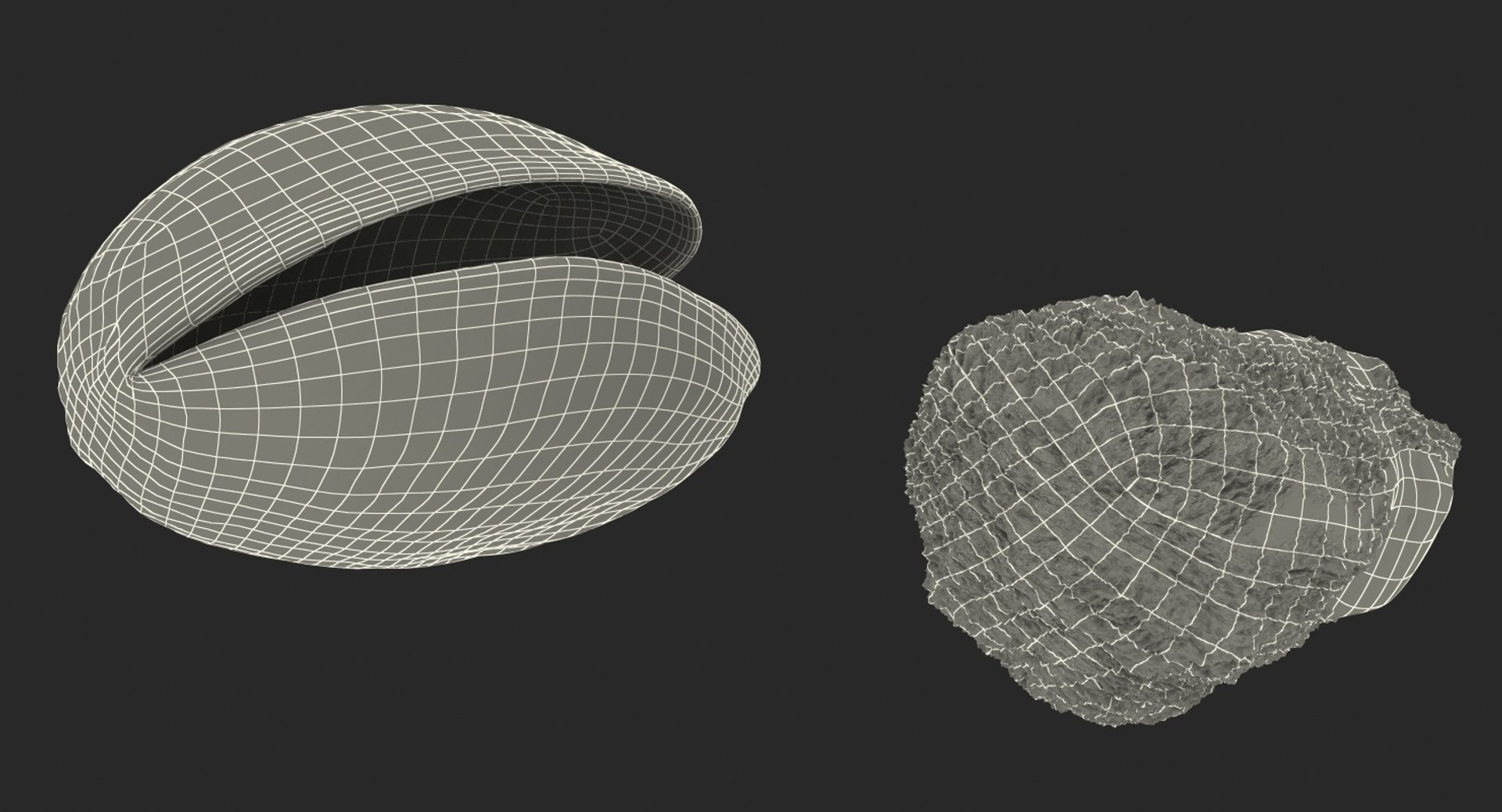 3D Opened Nuts Collection 3 model https://p.turbosquid.com/ts-thumb/DI/H1sR5v/HJ/openednutscollection33dmodel033/jpg/1708295621/1920x1080/fit_q87/4cdff257fc99b22d912e88d675c76a3b84085bc8/openednutscollection33dmodel033.jpg