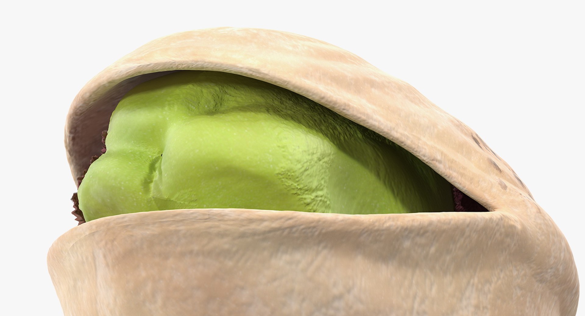 3D Opened Nuts Collection 3 model https://p.turbosquid.com/ts-thumb/DI/H1sR5v/Tk/openednutscollection33dmodel027/jpg/1708295593/1920x1080/fit_q87/118057a7412925853721fbf58aafbf3701191c08/openednutscollection33dmodel027.jpg